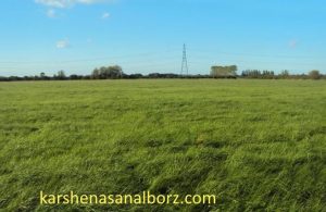 تشخیص اراضی بایر - کارشناسان البرز