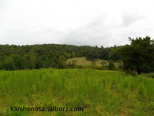 تشخیص هویت اراضی بر چه اساس است؟ - کارشناسان البرز