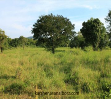 تشخیص هویت اراضی بر چه اساس است؟ - کارشناسان البرز