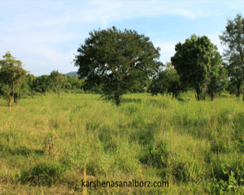 تشخیص هویت اراضی بر چه اساس است؟ - کارشناسان البرز