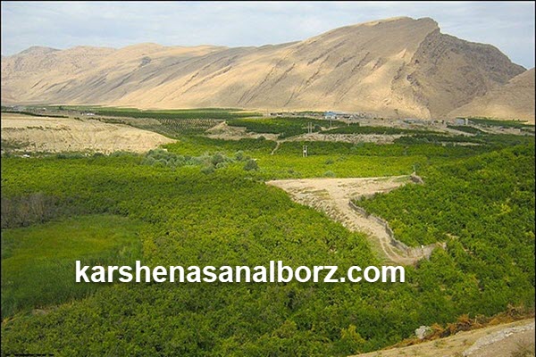 نحوه تشخیص اراضی دایر و بایر | کارشناسان البرز