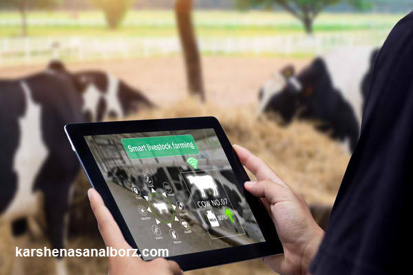 ارزیابی دام و محصولات دامی | کارشناسان البرز