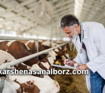 ارزیابی دام و محصولات دامی توسط کارشناس رسمی دادگستری | کارشناسان البرز