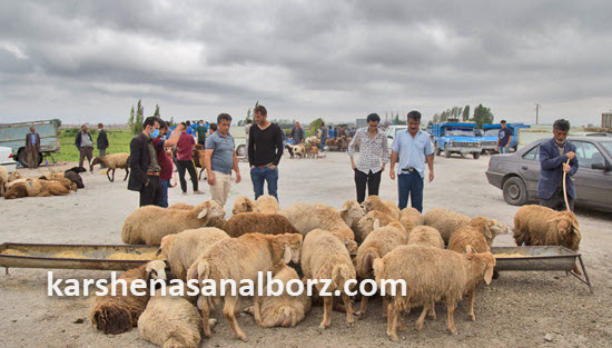 تعیین اجاره بهای واحدهای نگهداری دام و طیور | کارشناسان البرز