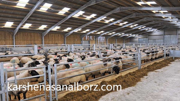 تعیین خسارت تأسیسات نگهداری دام به دست کارشناسان | کارشناسان البرز