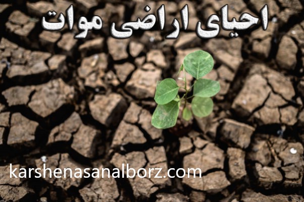نحوه احیای اراضی موات بر پایه قانون | کارشناسان البرز