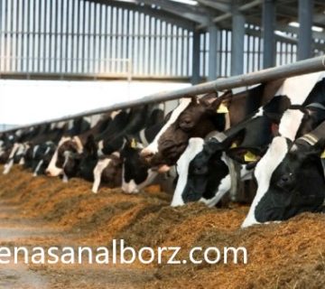 شیوه های تعیین خسارت تأسیسات نگهداری دام | کارشناسان البرز