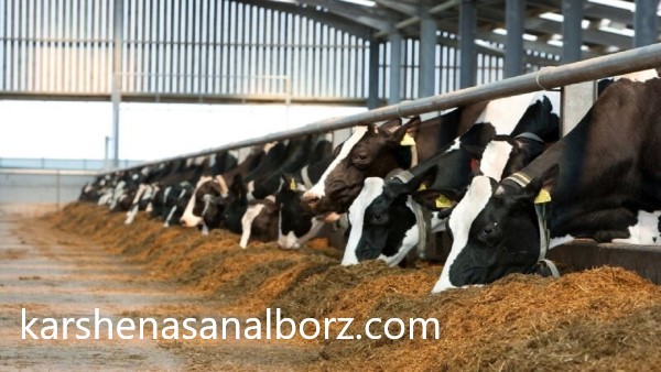 شیوه های تعیین خسارت تأسیسات نگهداری دام | کارشناسان البرز