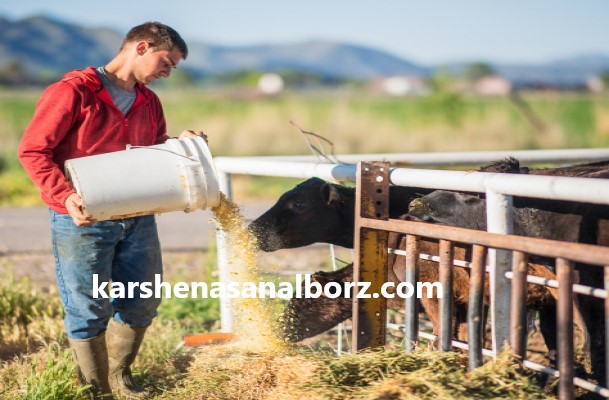 هزینه ارزیابی دام و محصولات دامی در قزوین چقدر است؟ | کارشناسان البرز