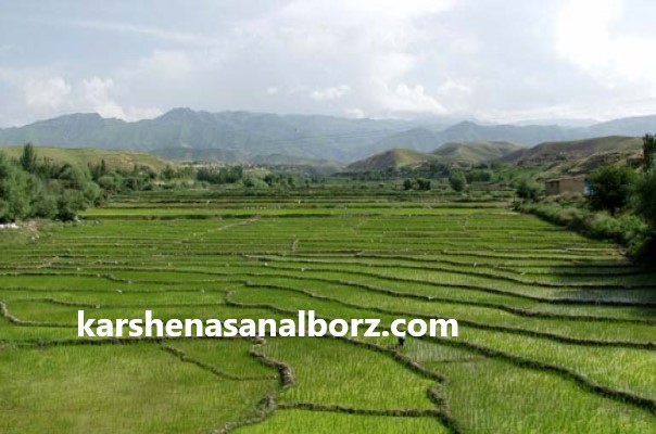 بهترین کارشناس اراضی در استان مازندران | کارشناسان البرز