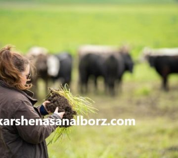 بهترین کارشناس امور دام و دامپروری در مازندران | کارشناسان البرز