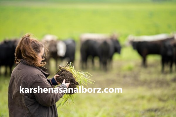 بهترین کارشناس امور دام و دامپروری در مازندران | کارشناسان البرز