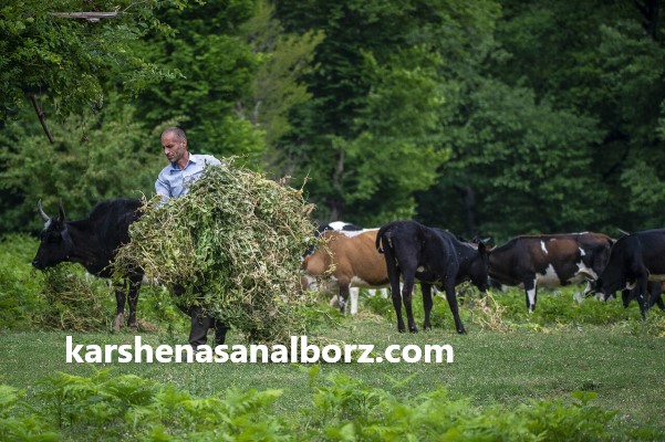 بهترین مرکز خدمات ارزیابی محصولات اولیه دام | کارشناسان البرز