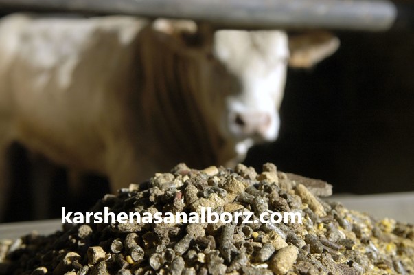 ارزیابی محصولات اولیه دام | کارشناسان البرز