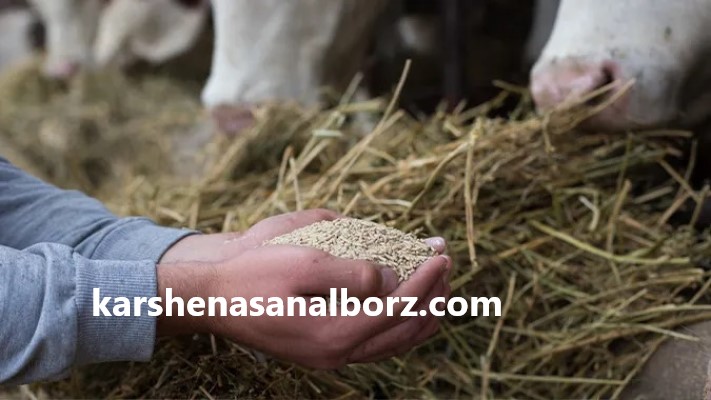 ارزیابی محصولات دام و طیور در استان مازندران | کارشناسان البرز