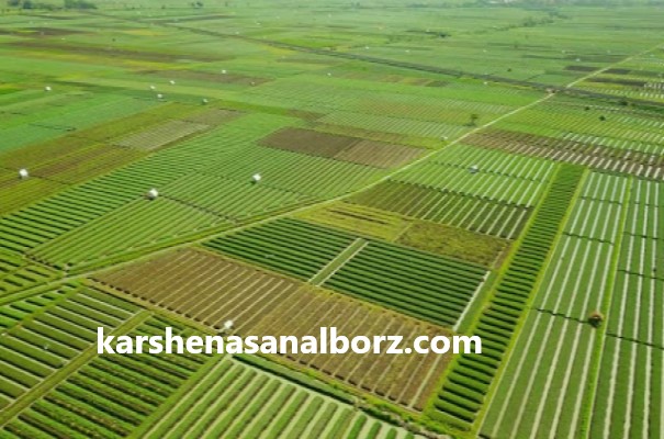 کارشناسی اراضی دایر و بایر با هزینه مناسب | کارشناسان البرز