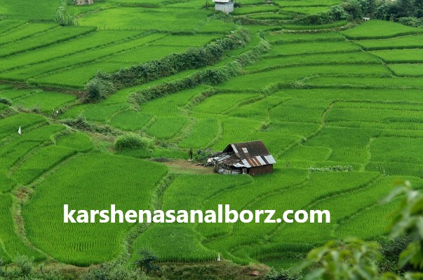 نحوه نقشه برداری با سیستم های اطلاعات جغرافیایی (GIS) | کارشناسان البرز