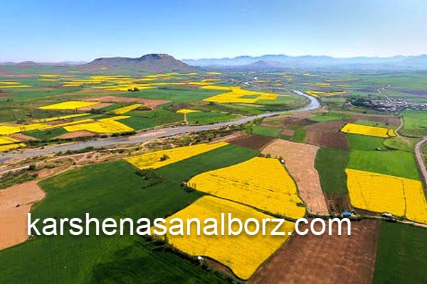 کارشناسی رسمی دادگستری اراضی کشاورزی | کارشناسان البرز