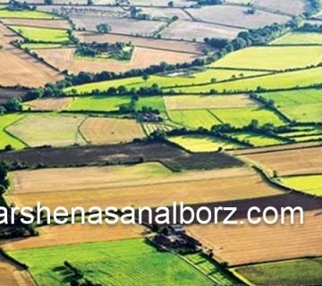 استعلام پلاک ثبتی اراضی کشاورزی | کارشناسان البرز