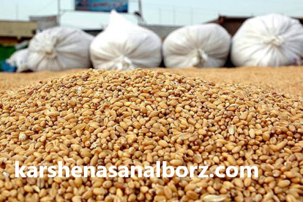 نکاتی درباره نمونه گیری اصولی و ارزیابی کیفیت خوراک دامی | کارشناسان البرز