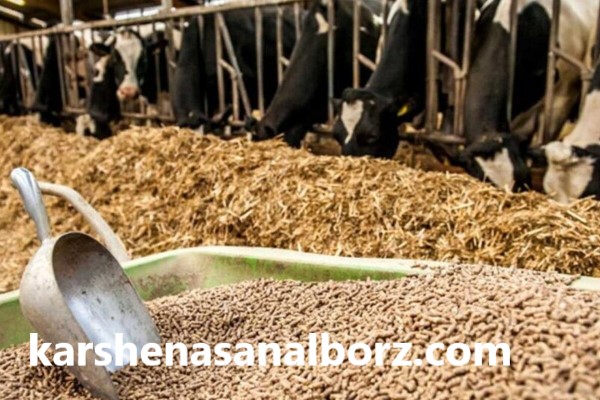 ارزیابی کیفیت و ایمنی دام و محصولات دامی | کارشناسان البرز