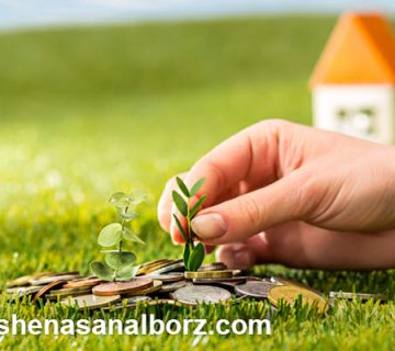 ارزیابی و قیمت گذاری اراضی توسط چه کسی انجام می شود؟ | کارشناسان البرز