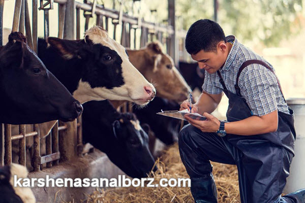 هزینه کارشناسی محصولات دامی توسط کارشناس رسمی دادگستری | کارشناسان البرز