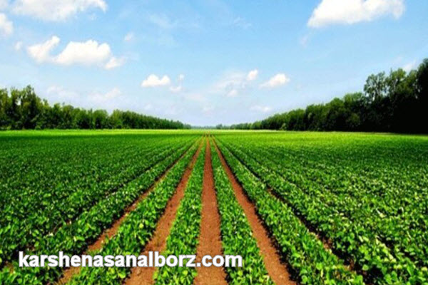عوامل موثر بر هزینه کارشناسی زمین کشاورزی | کارشناسان البرز