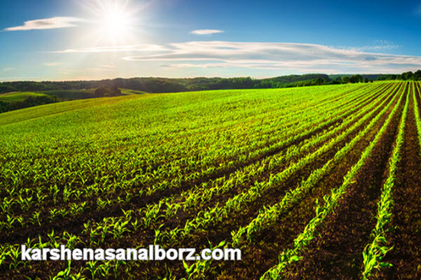 چرا انتخاب یک کارشناس متخصص مهم است؟ | کارشناسان البرز