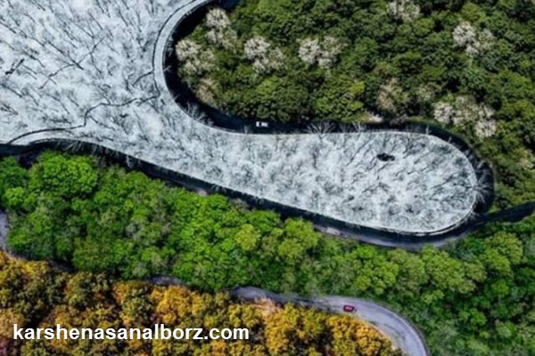 کاربرد عکس هوایی در اختلافات ملکی